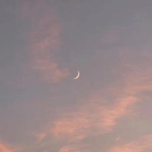 新田雪原名叫什么
